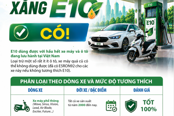 tuyên truyền về xăng E10