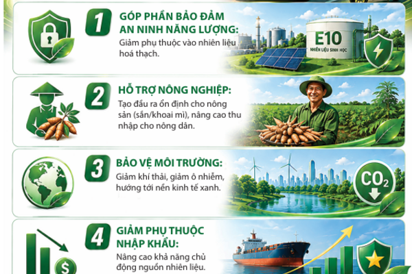tuyên truyền về xăng E10